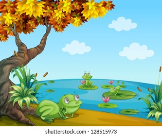 Illustration of three green frogs at the pond