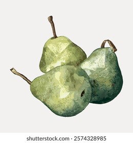 Illustration of three green pears with stems. Pears are depicted in a watercolor style. Green pears, watercolor, artistic pears illustration.