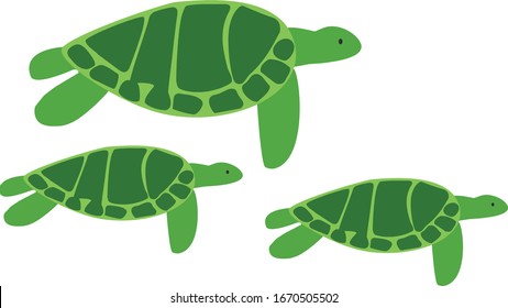 Illustration of three green turtles