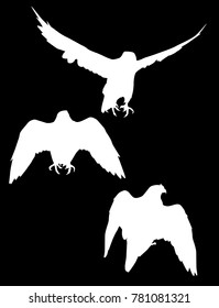 illustration with three hawk silhouettes isolated on black background