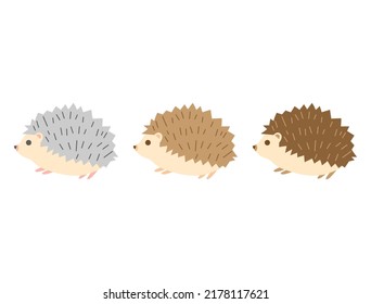 It is an illustration of three hedgehogs.