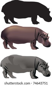 illustration with three hippos isolated on white background