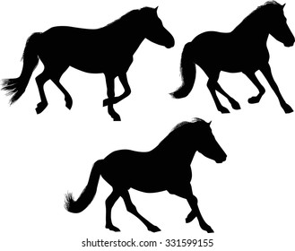 illustration with three horses isolated on white background