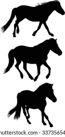 illustration with three horses isolated on white background