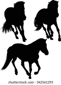 illustration with three horses isolated on white background
