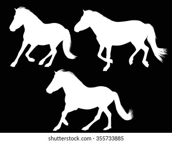 illustration with three horses isolated on black background