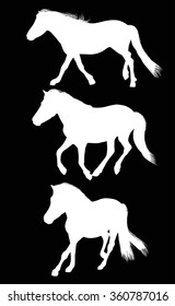 illustration with three horses isolated on black background
