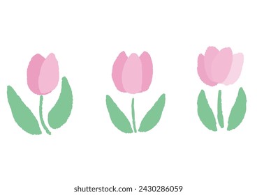 Illustration of three kinds of tulips