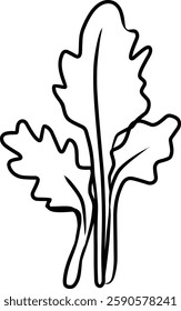 Illustration of Three Leafy Greens Isolated.