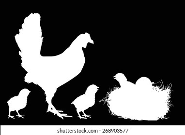 illustration with three newborn chickens and hen silhouettes near nest isolated on black background