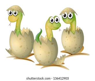 Illustration of the three newly cracked eggs of a snake on a white background
