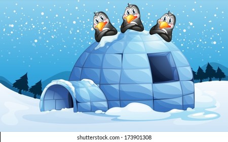 Ilustración de los tres pingüinos sobre el iglú