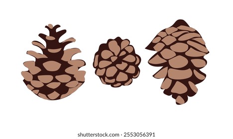 Illustration of three pine cones in different shapes and sizes isolated on a white background. Forest nature and autumn season concept. Design for greeting cards, invitations, posters