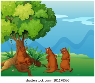 Illustration of three playful wild animals near the big old tree on a white background