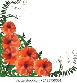 illustration with three poppy flowers isolated on white background