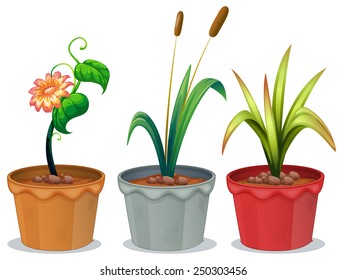 Illustration of three potted plants