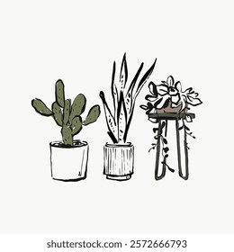 Illustration of three potted plants: a cactus, a snake plant, and a succulent on a stand. Simple, minimalistic plant design in black and green tones. Aesthetic vector illustration isolated on white.