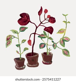 Illustration of three potted plants with red and green leaves. Potted plants in earthy tones. Artistic potted plants with vibrant leaves. Indoor plant decor. Vintage art, isolated vector element.