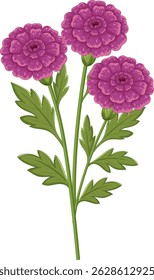 Illustration of three purple flowers with detailed petals and green leaves, showcasing vibrant colors and intricate design