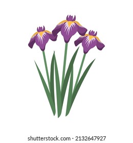 Illustration of three purple irises