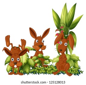 Illustration of the three rabbits on a white background