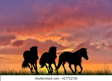 illustration with three running horses on sunset background