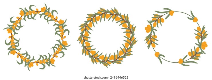 Illustration of three sea buckthorn berries wreaths with green leaves, featuring circular arrangements of the fruit and foliage.