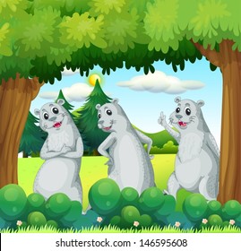 Illustration of the three sealions in the forest 