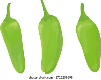 Illustration of three shishito peppers on a white background.