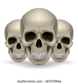 Illustration of three skulls on white background