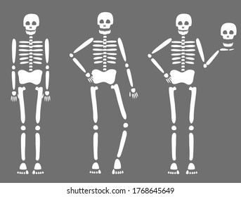 Illustration of three skulls posing