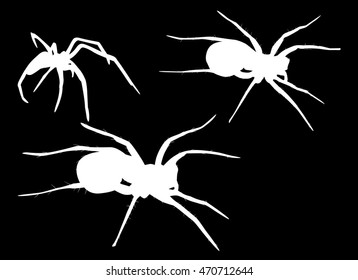 illustration with three spider silhouettes isolated on black background