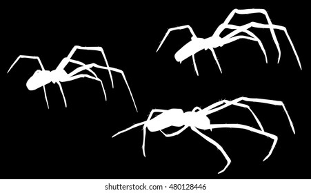 illustration with three spider silhouettes isolated on black background