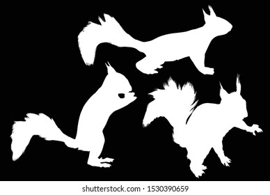 illustration with three squirrels isolated on black background