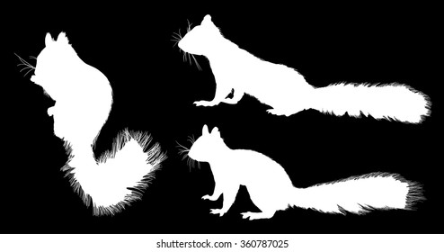 illustration with three squirrels isolated on black background