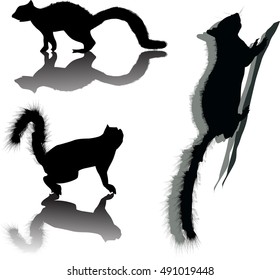 illustration with three squirrels isolated on white background