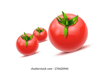 illustration of three tomatoes on white with soft shadows