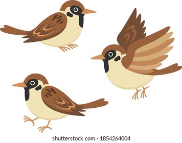 Illustration Of Three Tree Sparrows (sitting, Standing, Flying)