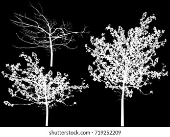 ilustración con tres árboles aislados en fondo negro