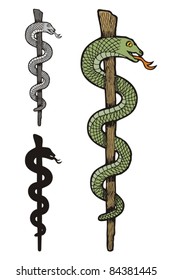 Illustration Of Three Versions Of One Snake Caduceus, Colored, Silhouette And Gray Scale.