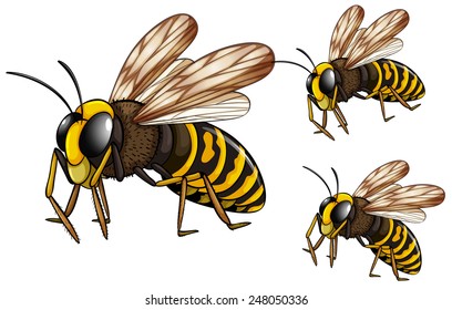 Ilustración de tres avispas volando