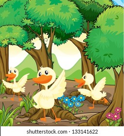 Illustration of the three white ducks in the middle of the woods