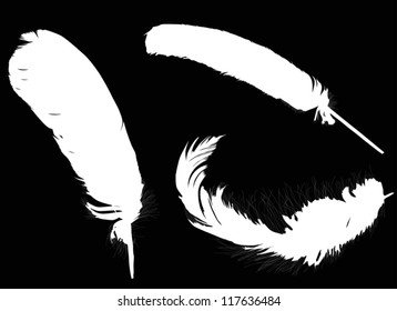 ilustración con tres plumas blancas sobre fondo negro