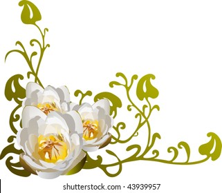 Illustration With Three White Lily Corner