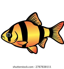 Illustration of a Tiger Barb fish with vibrant orange and black stripes.