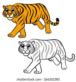 Illustration of tiger. Coloring book.
