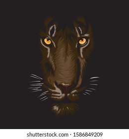 
illustration of tiger in darkness
