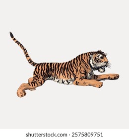 Illustration of a tiger in a dynamic pose. The tiger, with its bold stripes, appears ready to pounce. The tiger's powerful stance is striking. Vintage art drawing illustration, painting art vector.