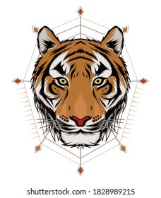 Illustration of tiger head. design template vector.
