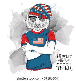 Illustration of tiger hipster dressed up in the glasses and in the t-shirt with print of USA flag. Vector illustration.